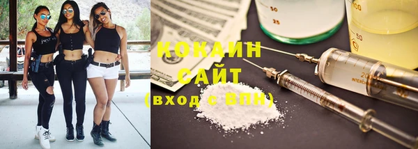 соль ск Алзамай