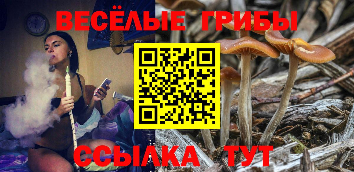 Псилоцибиновые грибы прущие грибы Чебоксары